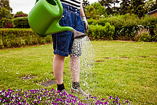浇水,花园