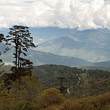 风景,不丹,廷布,地区