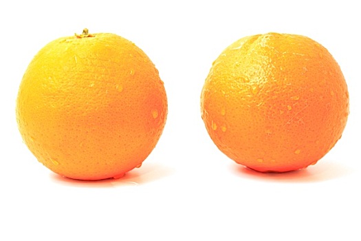 橙色,白色背景