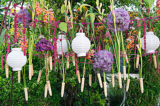 白色,灯笼,花,悬挂,晾衣绳,花园