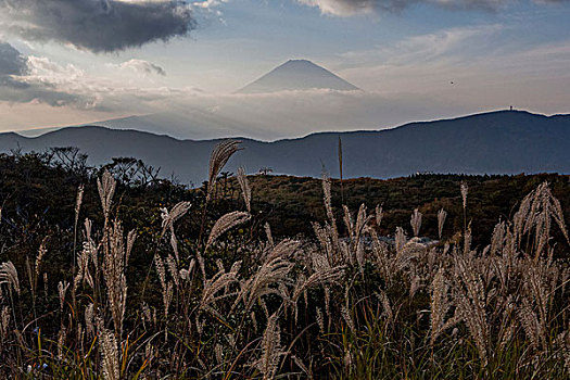 日本,富士山