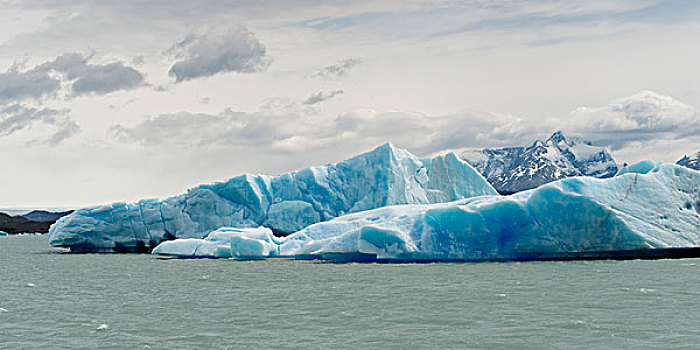 冰山,湖,阿根廷湖,洛斯格拉希亚雷斯国家公园,圣克鲁斯省,巴塔哥尼亚,阿根廷