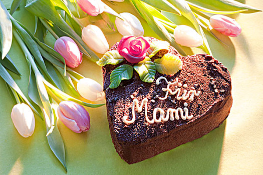 巧克力蛋糕,文字,毛皮,母亲节,花