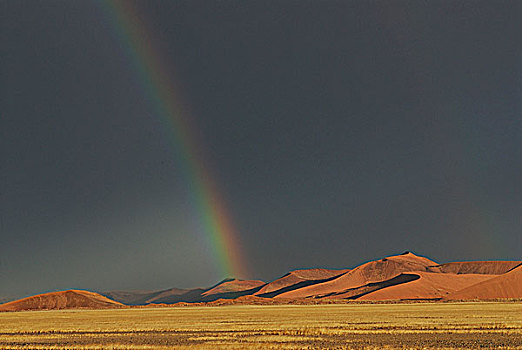 纳米比亚,国家公园,沙漠,风暴,沙丘,山谷