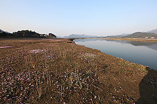 太平湖湿地