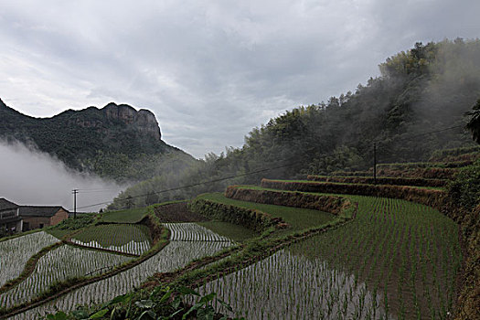 浙江山村风景