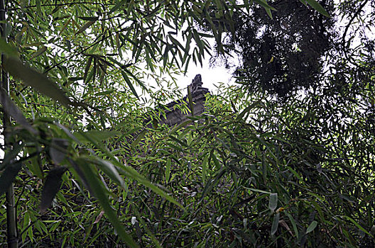 洛阳白马寺