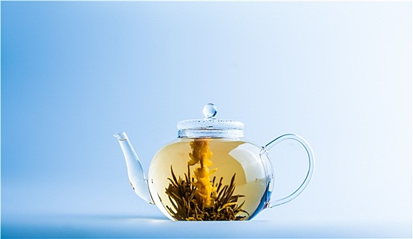 茶花,清晰,茶壶