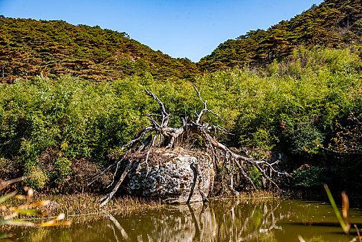 江西上饶三清山涵星池