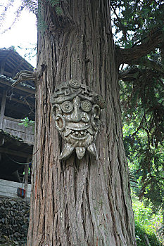 广西,龙胜,一个瑶寨村子里的神树