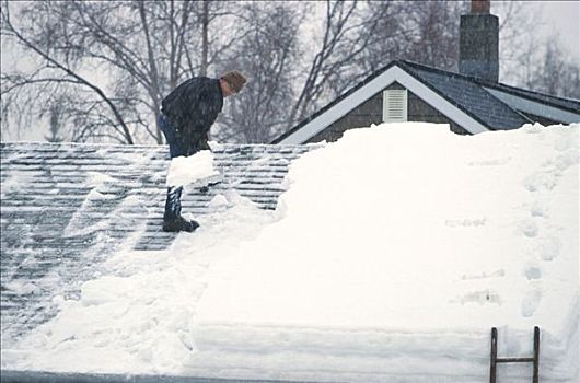男人,铲,雪,屋顶,冬天,阿拉斯加