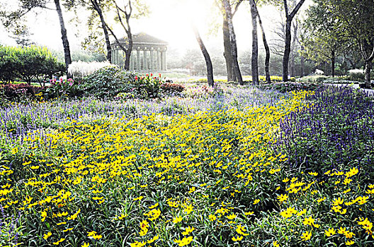 北京植物园园林