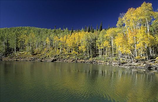 秋天,彩色,树林,高山湖,山脉