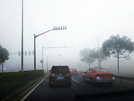 道路,大雾