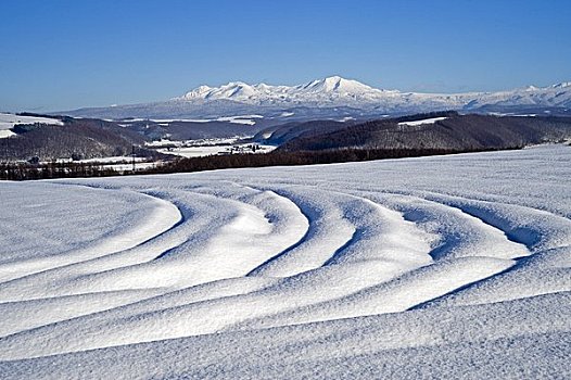 冬天,地点,山