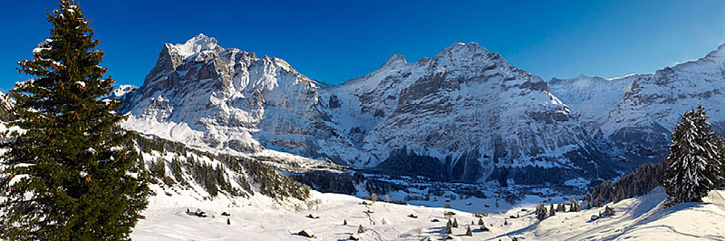 高山,斜坡,冬天,看,贝塔峰,山,格林德威尔,阿尔卑斯山,瑞士,欧洲
