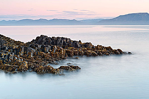 玄武岩,海岸,靠近,湾,北方,冰岛,欧洲