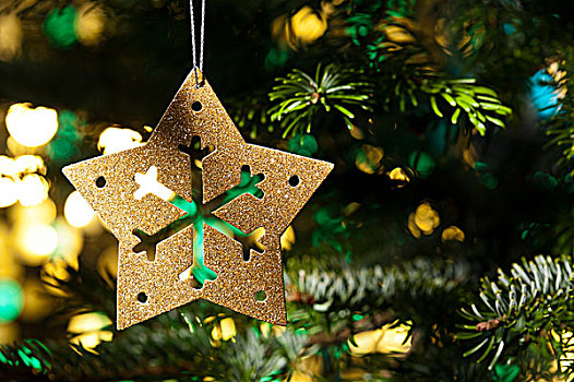 装饰,金色,星,圣诞树