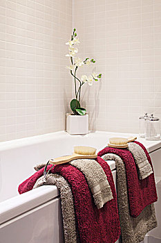 毛巾,兰花,浴室,围绕,房子,达特福德,肯特郡,英格兰,英国