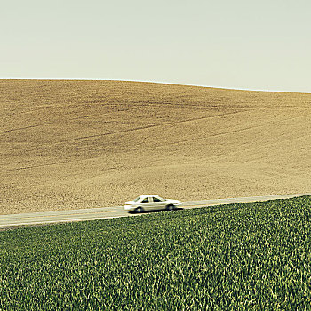 汽车,驾驶,上坡,斜坡,围绕,农田,茂密,绿色,地点,小麦,靠近,华盛顿