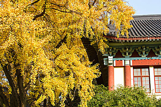 南京师范大学