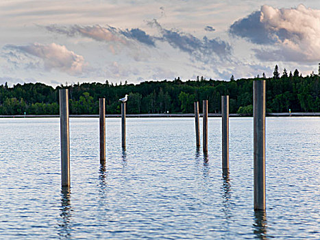 木质,柱子,湖,温尼伯湖,赫克拉火山磨石省立公园,曼尼托巴,加拿大