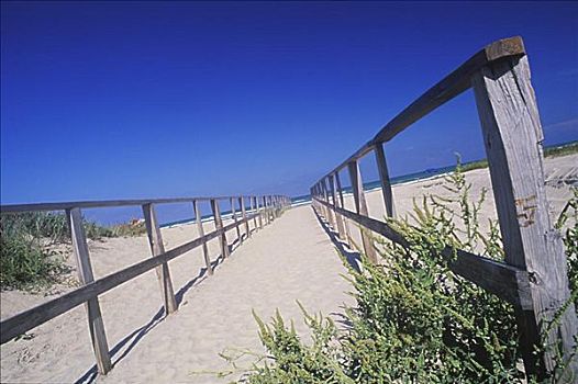 木篱,海滩,德克萨斯,美国