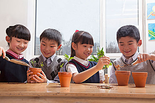 学童,种植,植物,花盆,教室