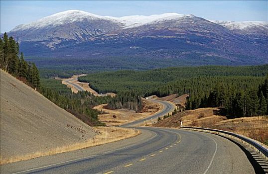 阿拉斯加公路,育空地区,加拿大,北美