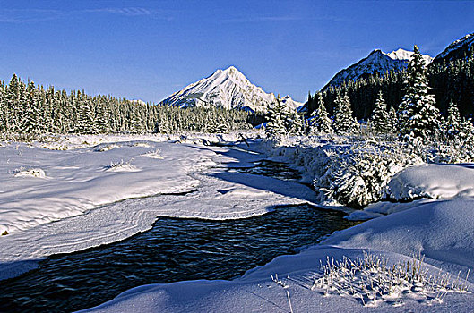 冬景,省立公园,卡纳纳斯基斯县,艾伯塔省,加拿大
