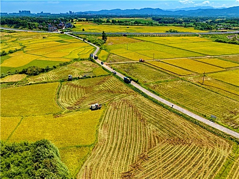 江西金溪,示范创建促粮食增产增效