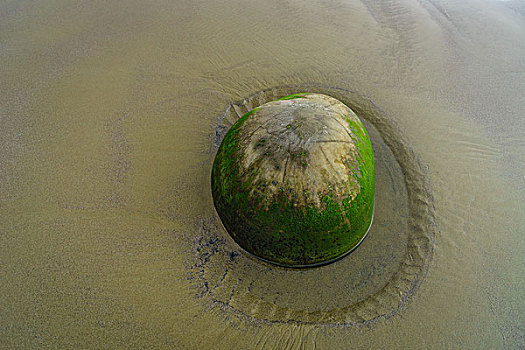 新西兰摩拉基圆石