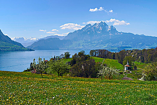 小教堂,琉森湖,后面,皮拉图斯,瑞士,欧洲