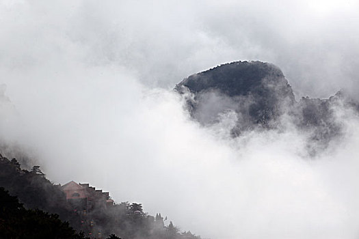 山,云海,雾