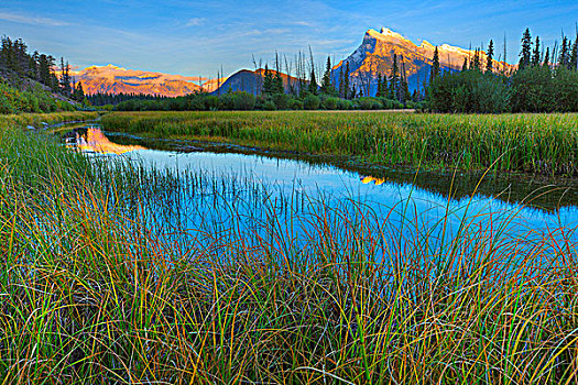 湿地,山脉,背景,伦多山,维米里翁湖,班芙国家公园,艾伯塔省,加拿大