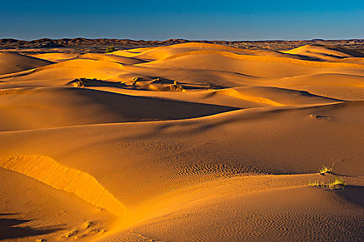 沙子,沙丘,晚间,亮光,撒哈拉沙漠,南方,摩洛哥,非洲