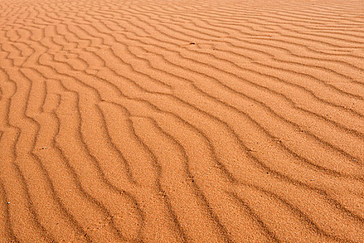 建筑,沙子,沙丘,卡拉哈里沙漠,纳米比亚,非洲