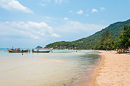 棕榈树,沙滩,蓝绿色海水,龟岛,岛屿,海湾,泰国,亚洲