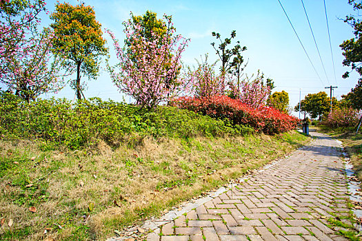 海曙,古林镇,仲一村,河道,公园,绿化,天空