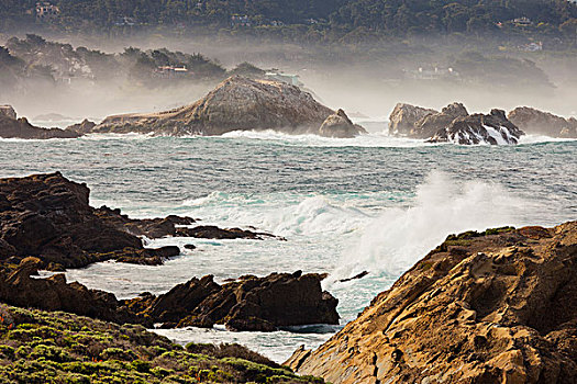 岩石海岸,靠近,自然保护区,海洋,加利福尼亚,美国