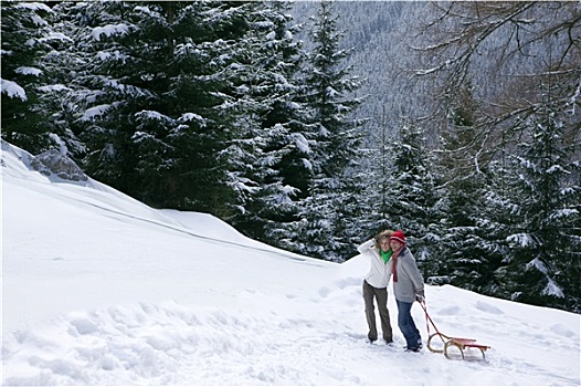 情侣,拉拽,雪撬,遥控,雪,山坡