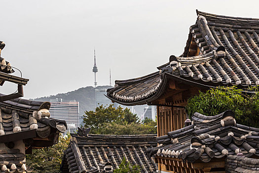 乡村,一个,名胜,韩国人,传统,房子,首尔,韩国