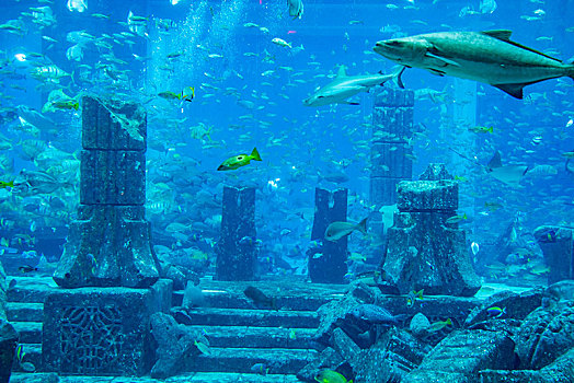 阿联酋迪拜棕榈岛,失落的空间,水族馆
