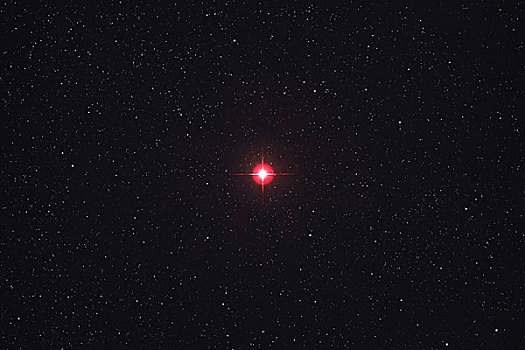 塞纳河,星座,特写,华美,星星,巨大,一个,最大,红色,特色,远景