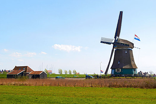 晴朗,荷兰人,风景,春天,青草,历史,风车