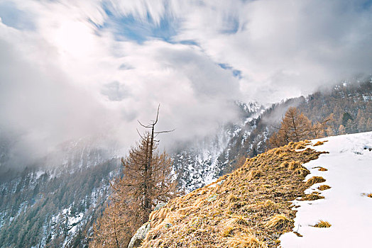 斜坡,结束,冬天,大帕拉迪索国家公园,意大利阿尔卑斯山,意大利