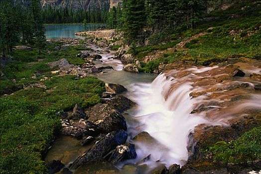 瀑布,幽鹤国家公园,不列颠哥伦比亚省,加拿大