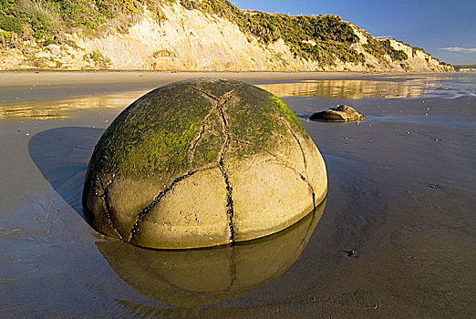 漂石,大,球体,卧,伸展,海滩,奥塔哥,海岸,新西兰