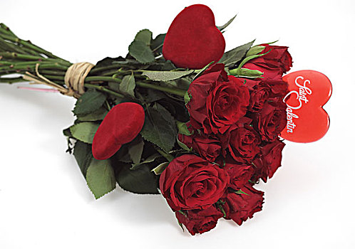 红玫瑰,情人节