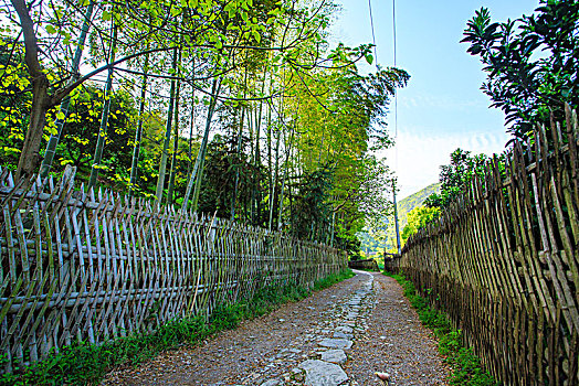 慈溪,国家登山健身步道,山路,春天,旅游,徒步,道路